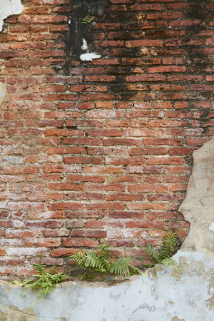 Red old worn brick wall texture backgroundの写真素材