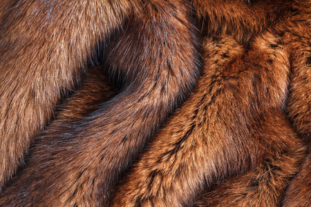 Warm coat of fur closeup. horizontal shotの写真素材