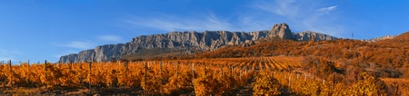 running clouds over the mountains and the vineyardの写真素材