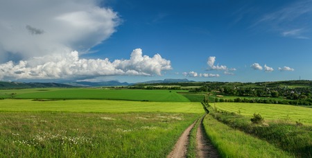Panorama field of wheat against the blue sky with cloudsの写真素材
