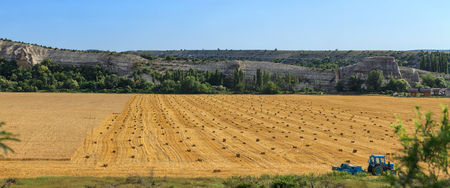 straw cleaning for further storageの写真素材