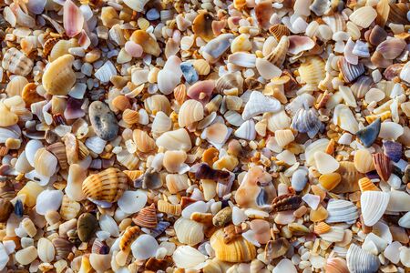 Sea pebbles closeupの写真素材