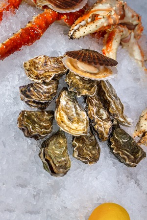 Seafood on ice at the fish market. Close-upの写真素材