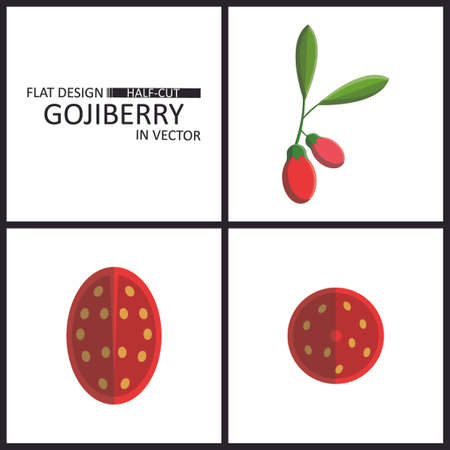 Berries fruit illustration vector in flat design : gojiberryのイラスト素材