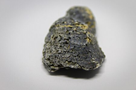 Seashellsの写真素材