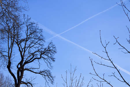 Blue skyの写真素材