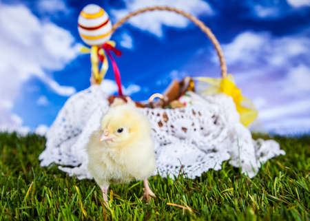 Easterの写真素材