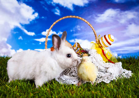 Easterの写真素材