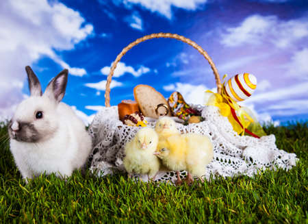 Easterの写真素材