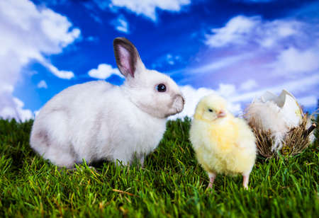 Easterの写真素材