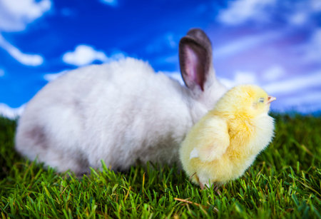 Easter