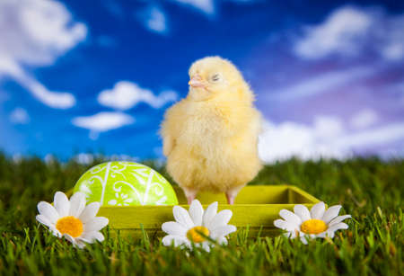 Easterの写真素材