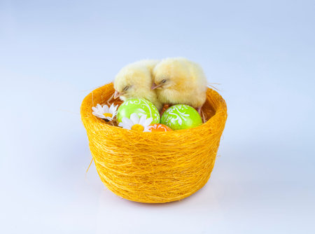 Easter, Egg, Chicken, Rabbit, Bunny