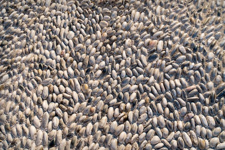 fragment of a medieval road in Greeceの写真素材