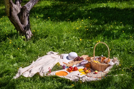 picnic on green grass. Basket with bread and a bottle and bananas in a basket and tomatoes with apples. still life on green grass. a blanket and food for a picnic in summer Parkの写真素材