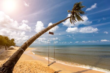 Vietnam, Phu Quoc island, on sea. view through a large palm tree and swing on itの写真素材
