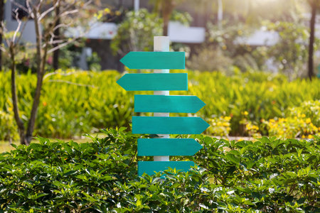 the signs are informative on site. signs show the direction of movement in the Park. mocap on green...
