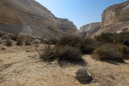 Desert landscape in Ein Evdat Nature Reserve, Israel. The image captures the rugged cliffs, rocky...