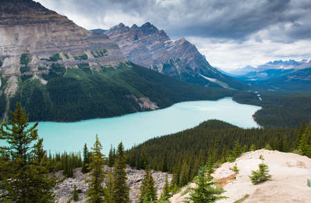 Aerial view of Peyto Lake, Banff National Park, Canadaの写真素材