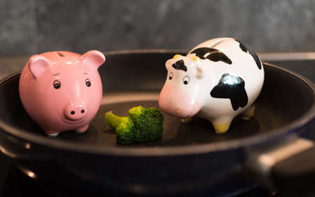 Broccoli instead of pork and beefの写真素材