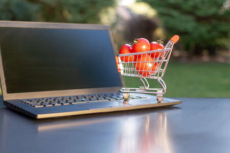 Concept of online grocery shopping. A miniature shopping cart with tomatoes is standing an a Notebook.の写真素材