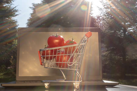Concept of online grocery shopping. A miniature shopping cart with tomatoes is standing an a Notebook.の写真素材