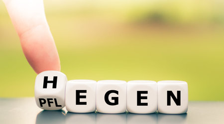 Dice form the German saying Hegen und Pflegen (care and foster in English). 