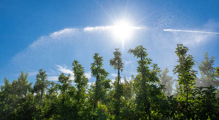 Irrigation of apple plantation near York, Germany.の写真素材