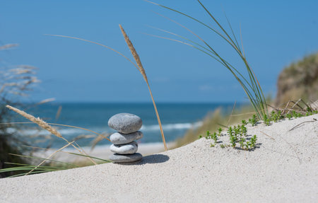 Pile of stones in the sand dunes at the beach.の写真素材