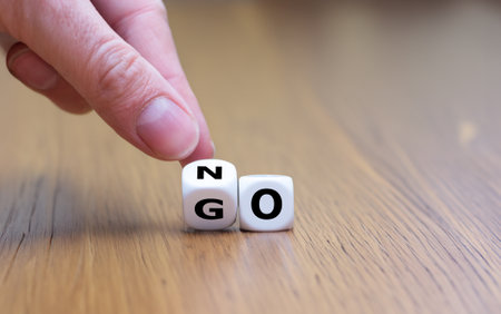 Dice form the expression 'no go'.の写真素材