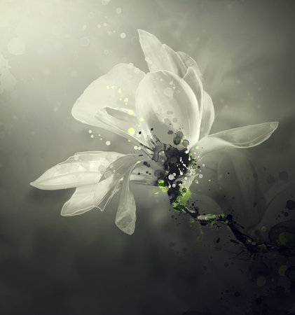 drawing of an abstract flower against a dark backgroundの写真素材