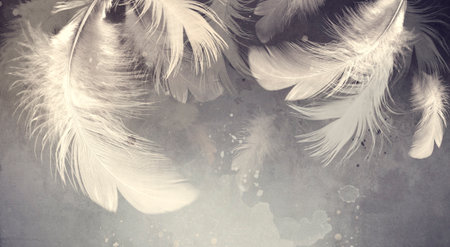 Image of feathers in interior style with watercolor splashesの写真素材