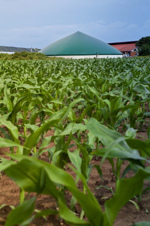 Bio gas plant in a maize fieldの写真素材