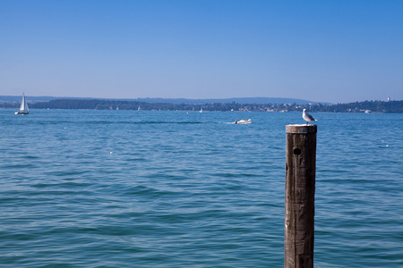 Lake Constance Lake Constanceの写真素材