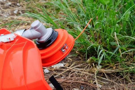 Head with fishing line for mowing grass. Gas trimmer. Trimer gascosis with a leaf for mowing grass and shrubs.の写真素材