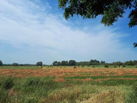 Hay on the background of the forest strip and the blue sky. Beautiful landscape Beautiful landscape, senokos against the sky and woodland.の写真素材