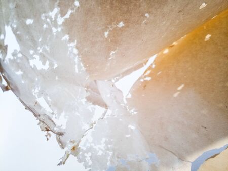 Paper swallowed with silverfish. Traces of wrecking silverfish on vinyl envelopes. lepismaの写真素材