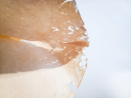 Paper swallowed with silverfish. Traces of wrecking silverfish on vinyl envelopes. lepisma