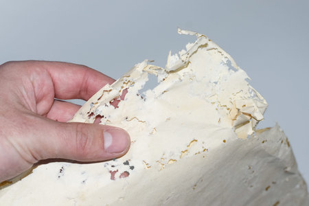 Enveloped with silverfish, envelopes of records in the man's hand. Paper swallowed with silverfish....