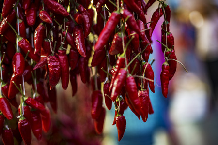 Strands of hanging red chili peppersの写真素材