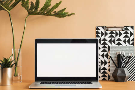 Stylish office workspace with laptop mock up screen, office accessories, plants on the orange wall.  Space of creative designer.の写真素材