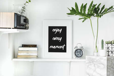 Stylish scandi interior with white shelf , mock up poster frame, books, cacti in design pots, alarm clock and vintage radio. Modern room with white frames.の写真素材