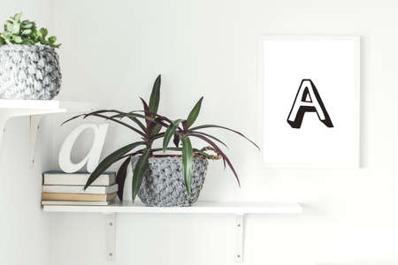 Stylish scandi interior with white shelf , mock up frame, books and plants. Modern room with white walls.の写真素材
