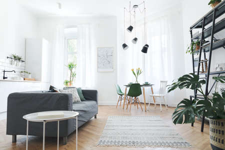 Stylish scandinavian open space with dining and living room with design map, sofa and family table. Bright and sunny room with plants and brown wooden parquet.の写真素材