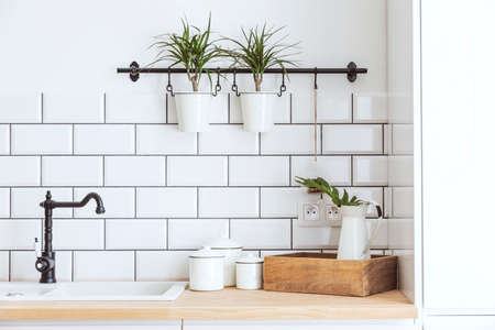 Modern and design scandinavian kitchen with plants and accessories . Sunny and bright space with...