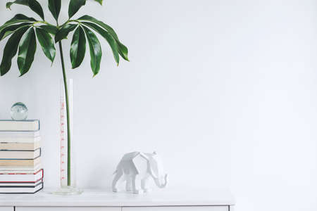 The white stylish interior with copy space, tropical leafs, white elephant figure and books on the...
