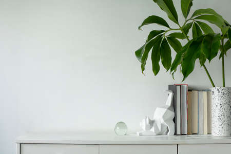 Minimalistic concept of white home interior whit copy space, tropical leaf and cat figures....