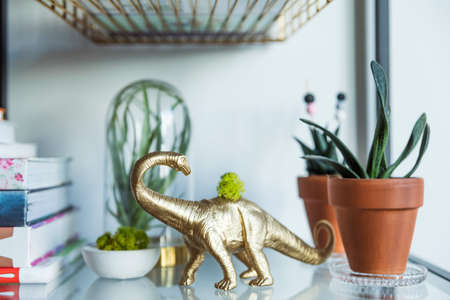 Close up of bookstand with gold dinosaur, succulents, books and accessoreis. Bright and sunny interior.の写真素材