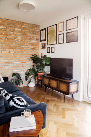 Stylish scandinavian open space with living room with design sofa and tv table . Bright and sunny...