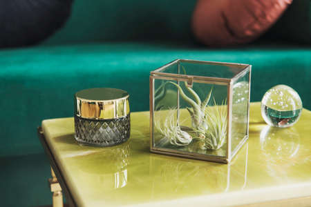 Close up of interior with gold coffee table, accessories and tillandsia . Grey walls and brown...